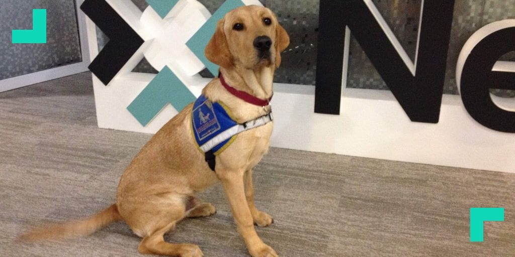 Mobility for the blind and partially sighted