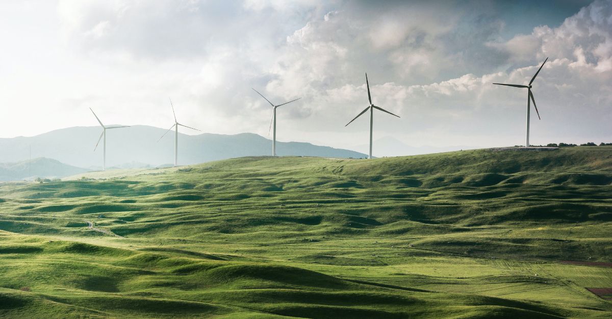 Managing Data Needs Diversified Solutions