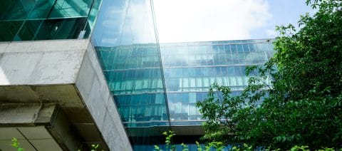Glass office buildings, biew from outside. Leafy green trees reflecting on the glass through sunglight beams.